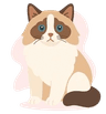 Ragdoll Heaven Logo